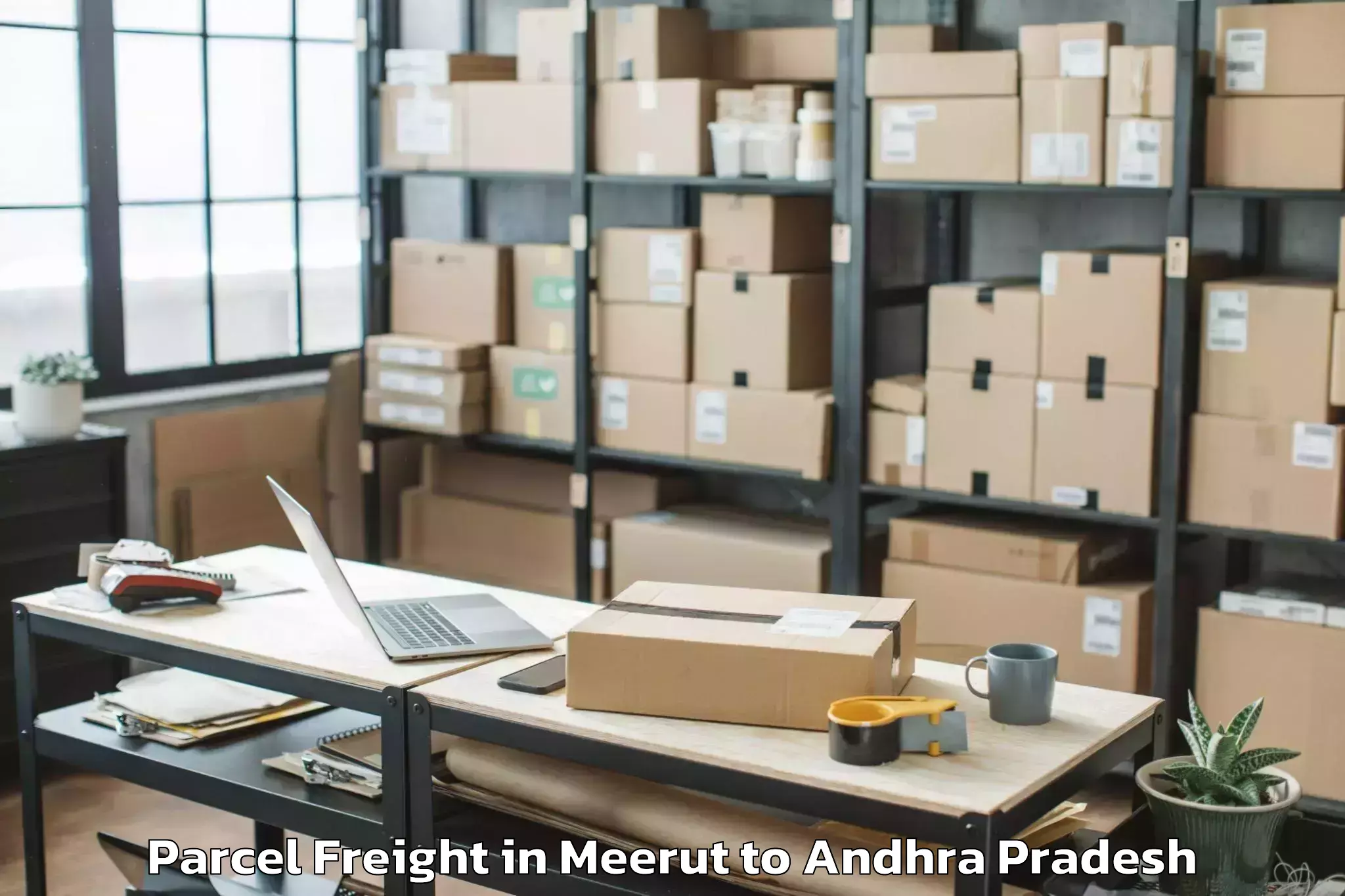 Efficient Meerut to Piduguralla Parcel Freight